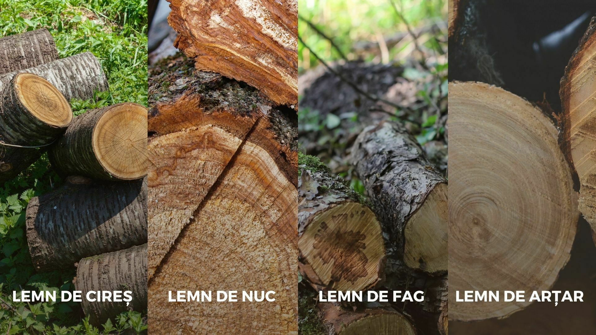 Tipuri de lemn de esență